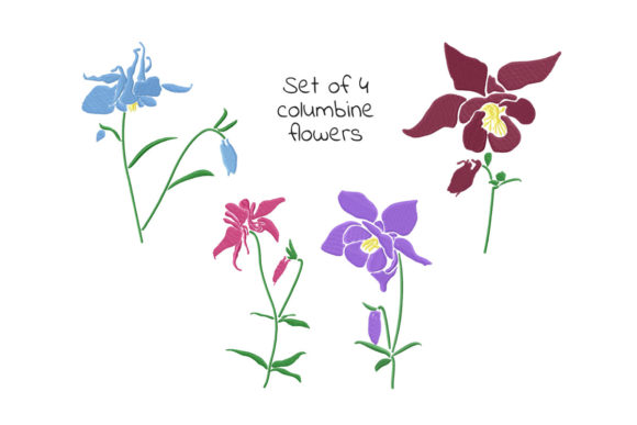 Columbine Flowers for Holiday Magic