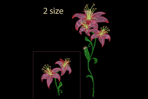 Lily