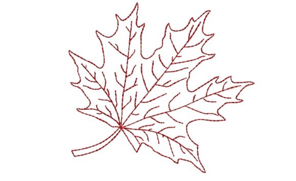 Maple Leaf