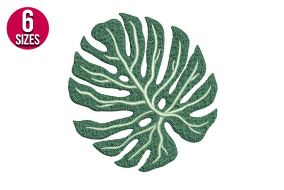 Monstera Leaf