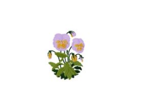 Pansy Embroidery Review