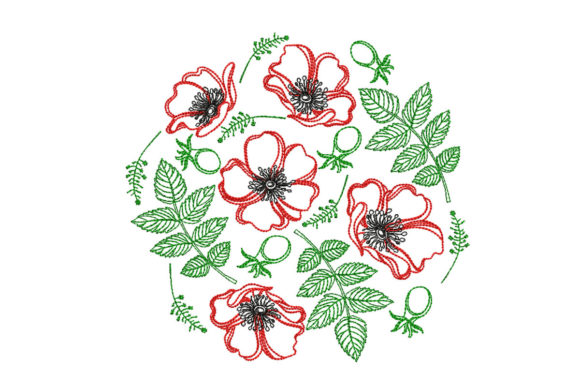Poppy