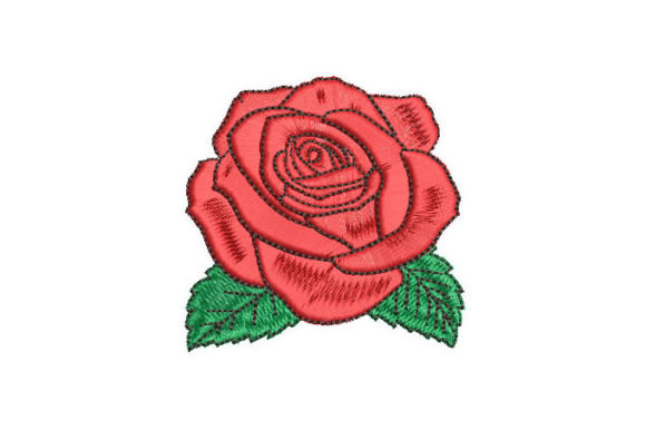 Rose with Green Leaves