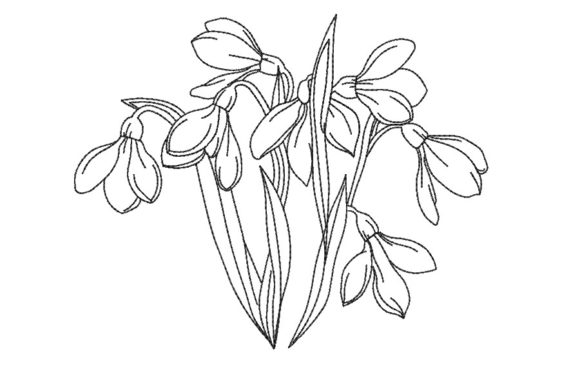 Snowdrop Flowers