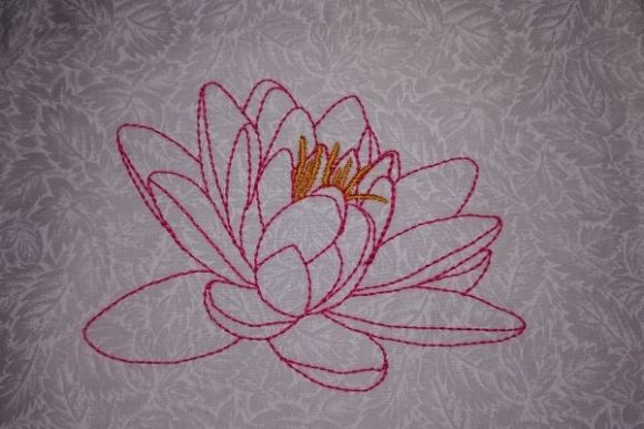 Water Lily